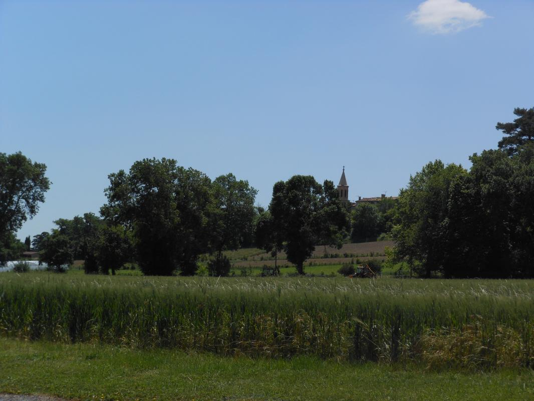 QUIOUSSAC, Montégut-Lauragais - photo 323