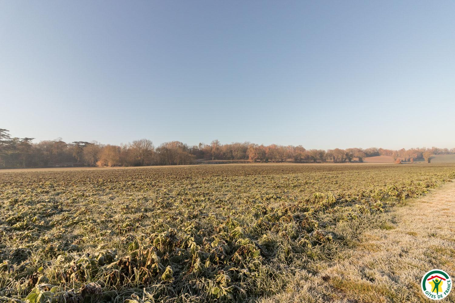 QUIOUSSAC, Montégut-Lauragais - photo 327