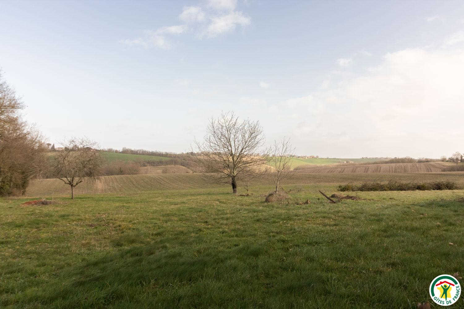 EN SENDRAL, Verfeil - photo 176