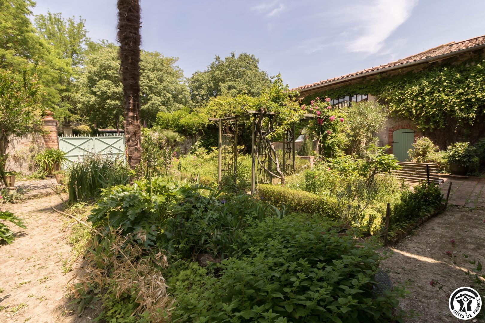 LES GALETS BLEUS - photo 3