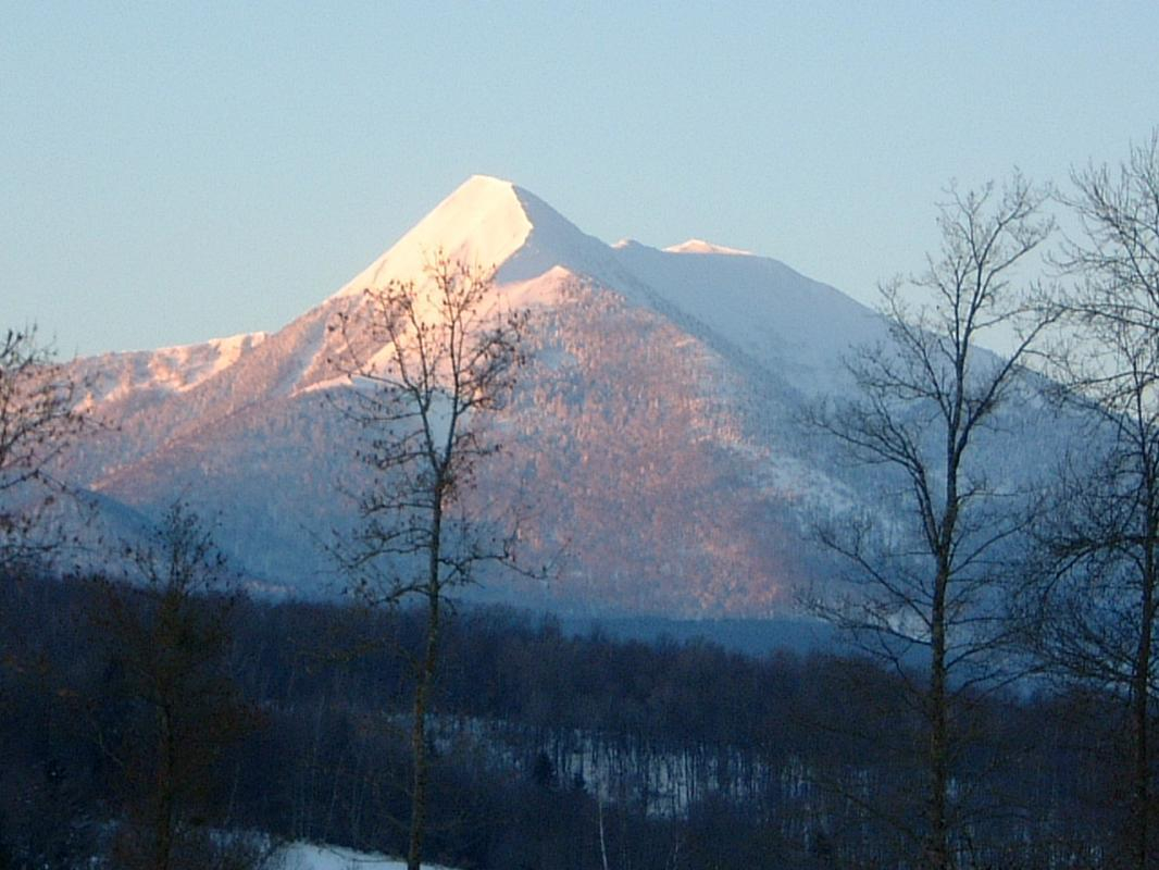 LE CLOS SAINT-PAUL - NATURE, Estadens - photo 146