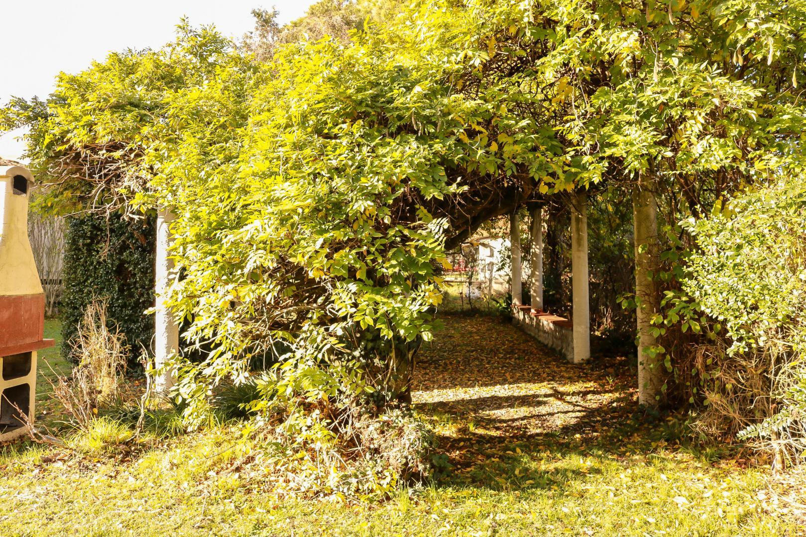 DOMAINE DE BELPECH, Eaunes - photo 375