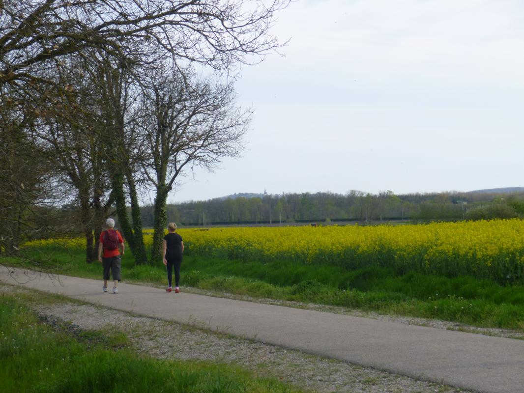 La Ginestière