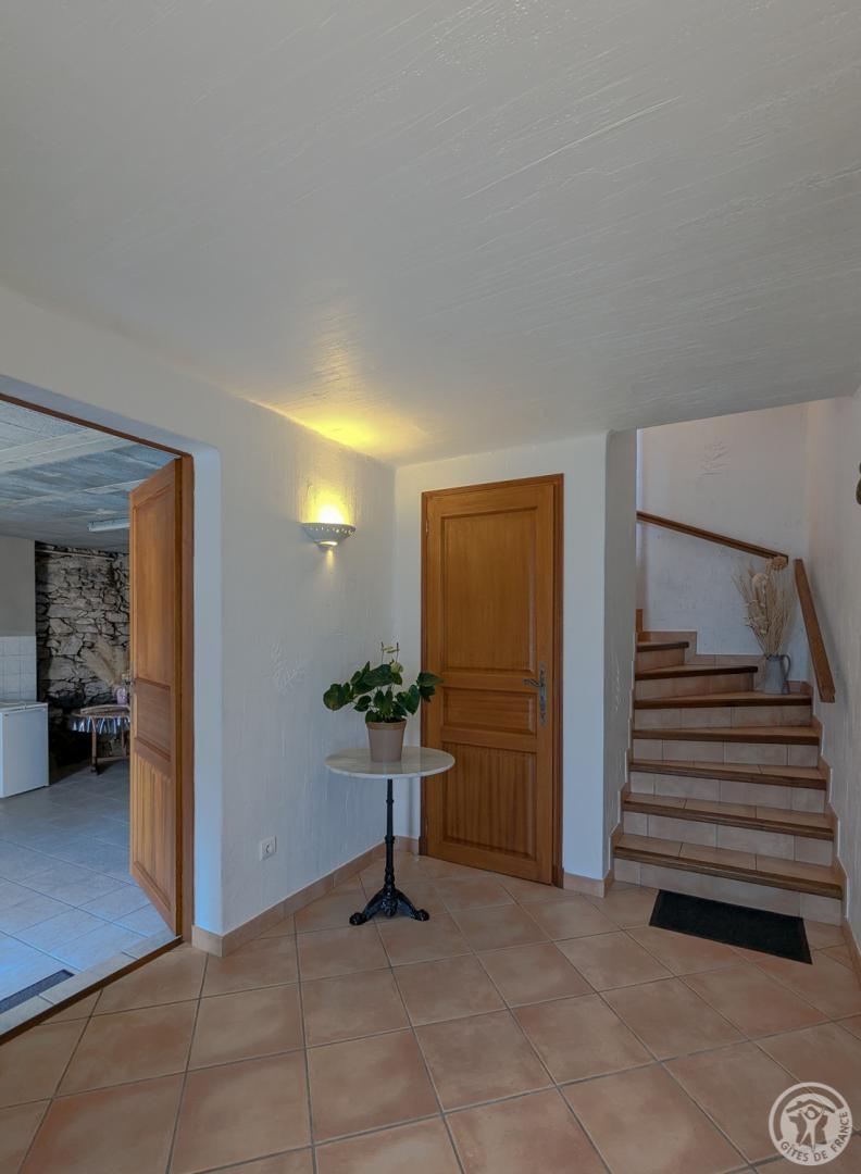 LES ECUREUILS — photo 3