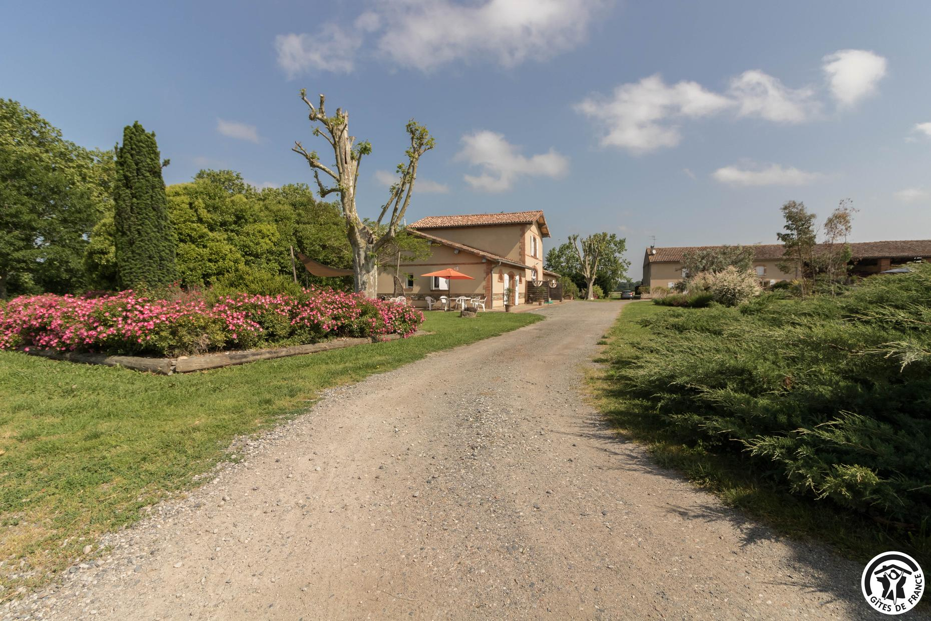 LA TOURASSE - LES TOURNESOLS - photo 2