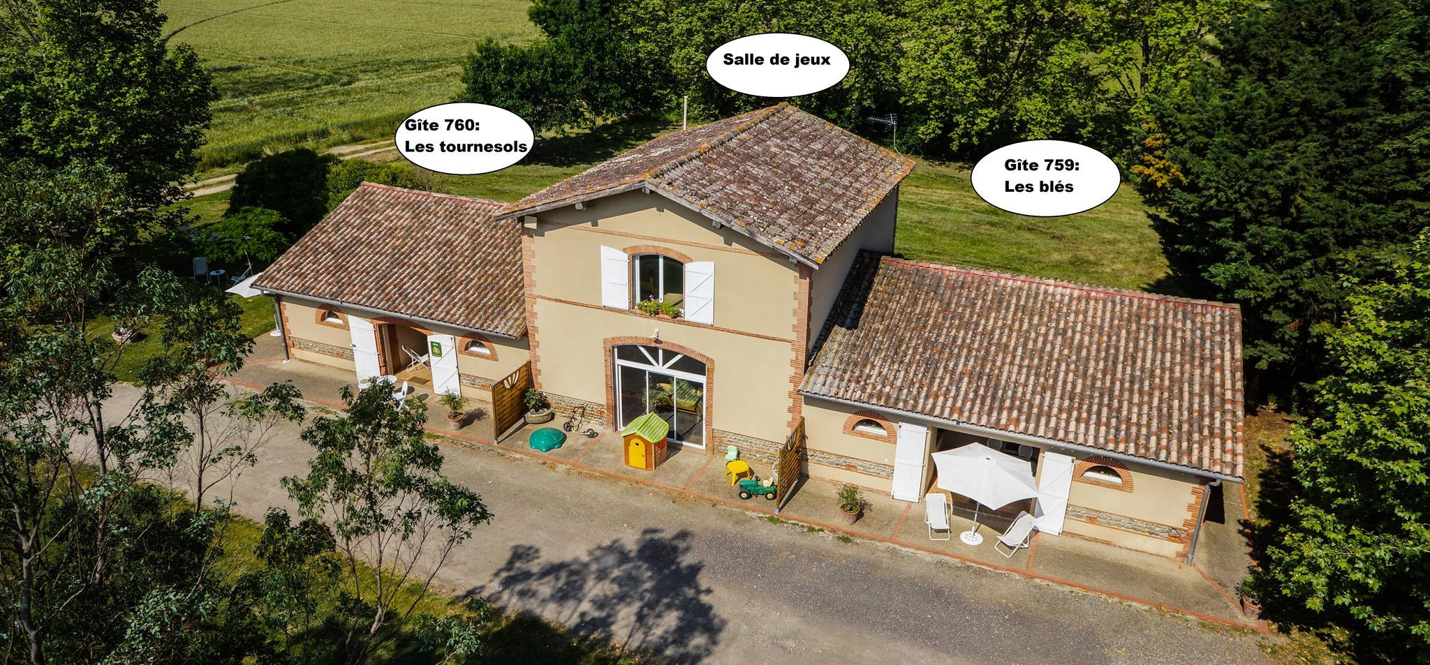 LA TOURASSE - LES TOURNESOLS, Lamasquère - photo 386
