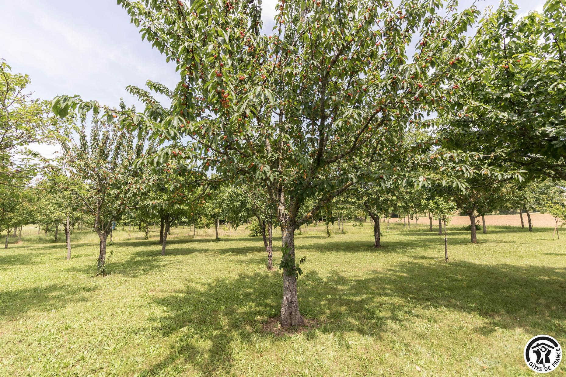 EN SAVANAC, La Salvetat-Lauragais - photo 263