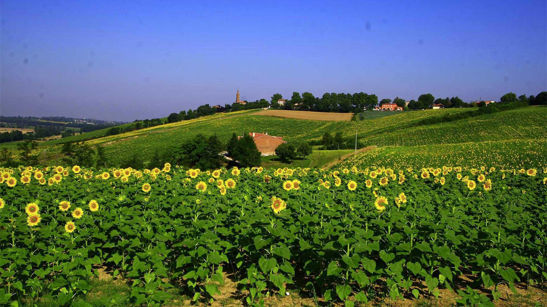 Baugnac