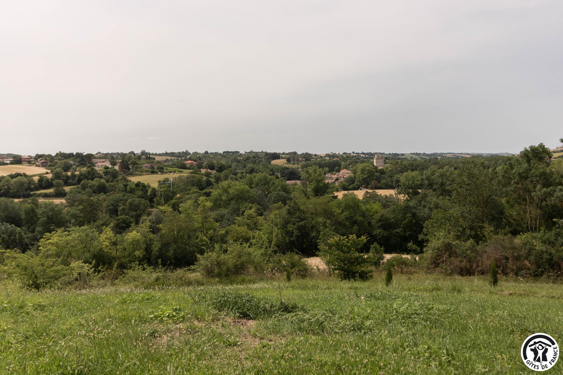 LES ROSES D'AUTAN, Auriac-sur-Vendinelle - photo 98