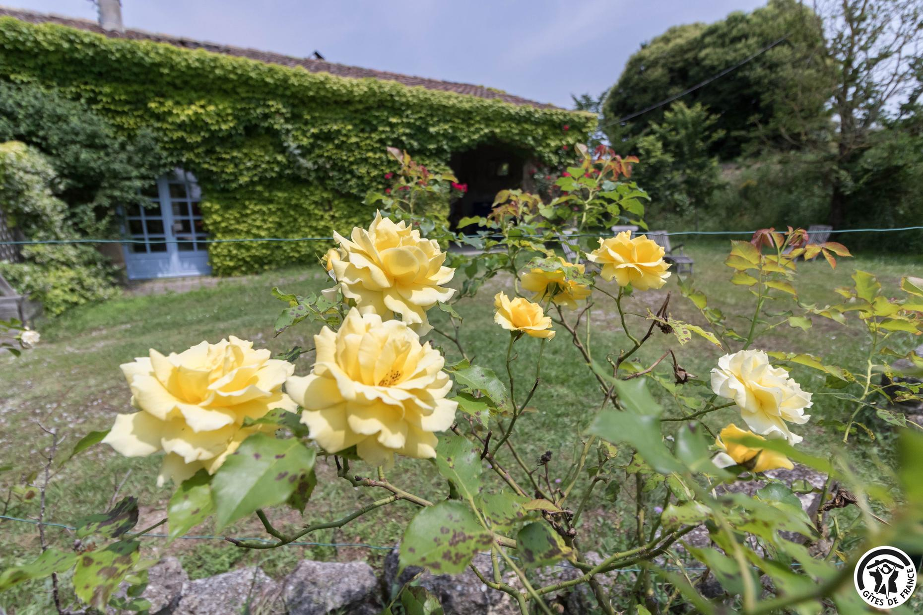 LES ROSES D'AUTAN, Auriac-sur-Vendinelle - photo 90