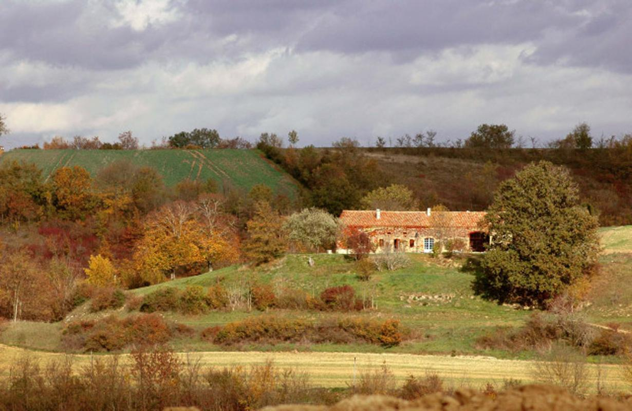 LES ROSES D'AUTAN, Auriac-sur-Vendinelle - photo 108