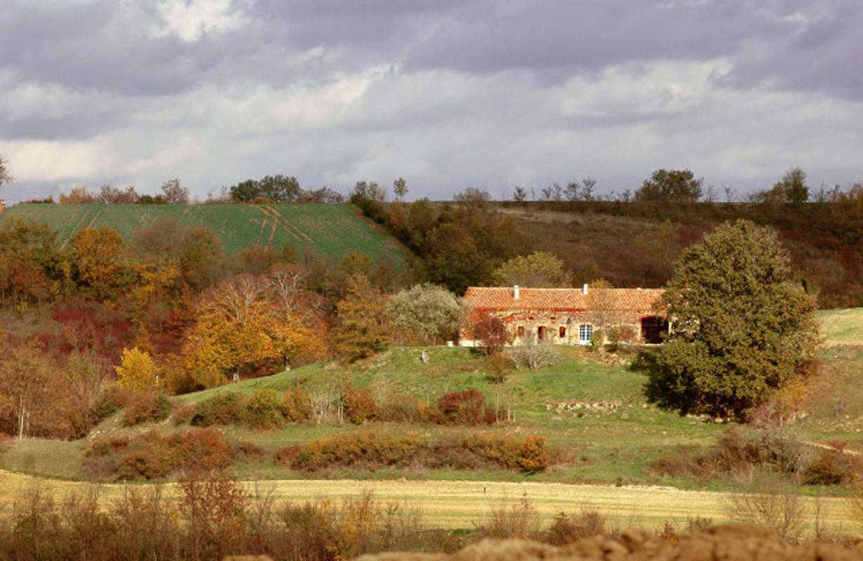 LES ROSES D'AUTAN - photo 3