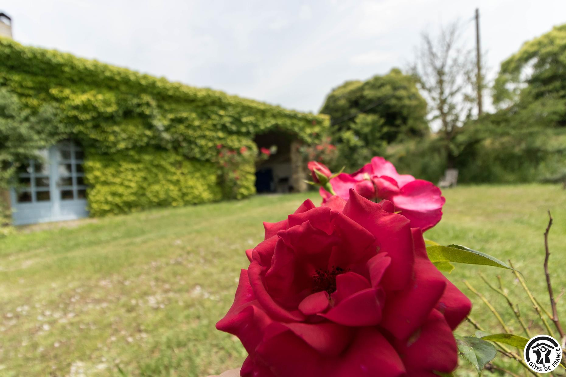 LES ROSES D'AUTAN, Auriac-sur-Vendinelle - photo 104