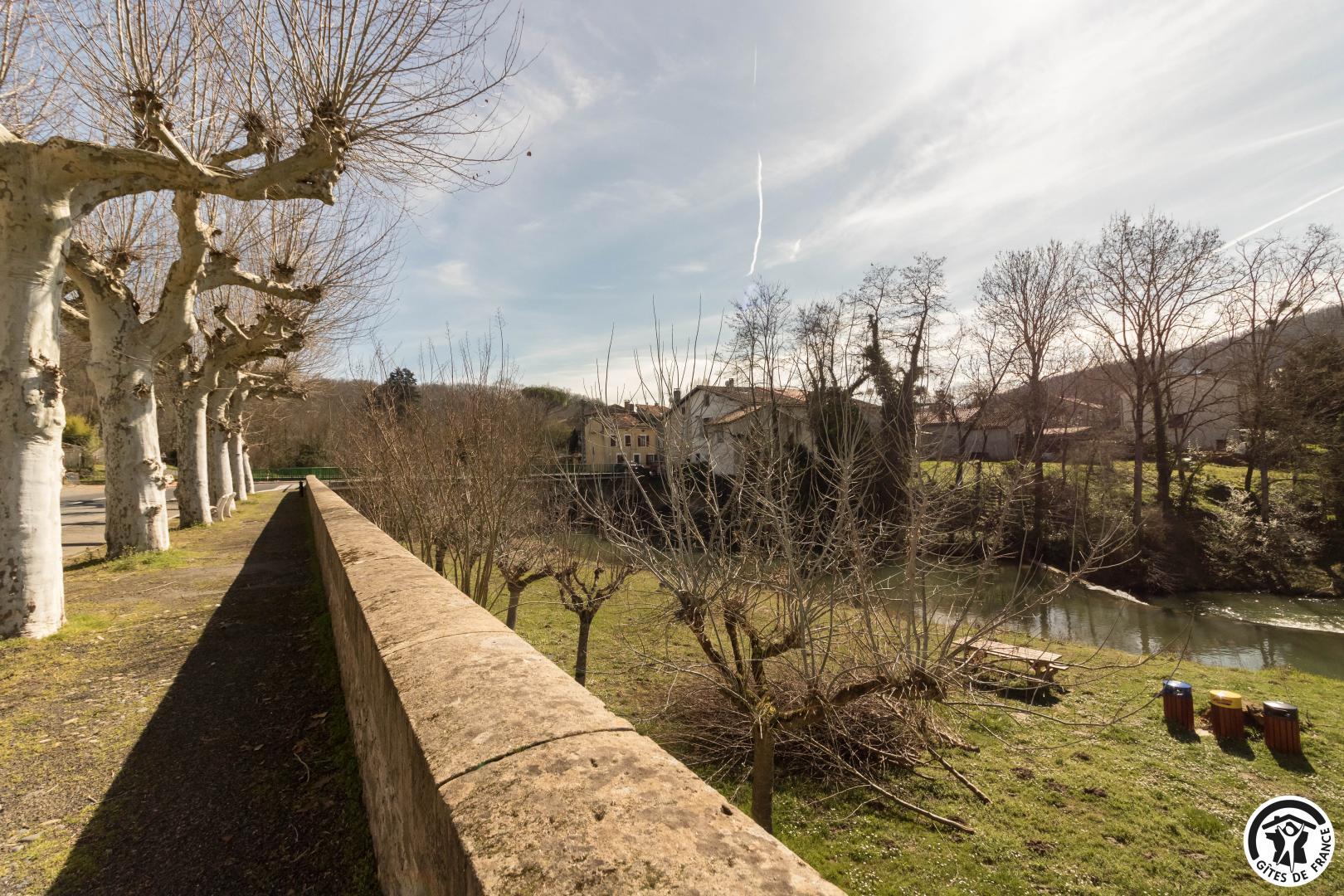LE VOLP, Le Plan - photo 228