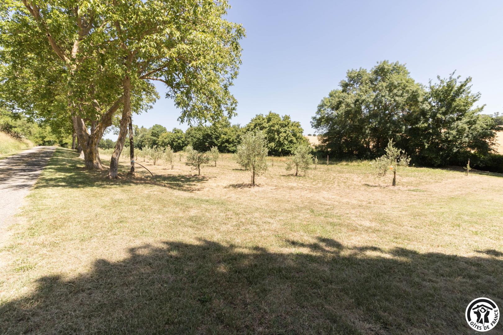 LE MATELOT — photo 2