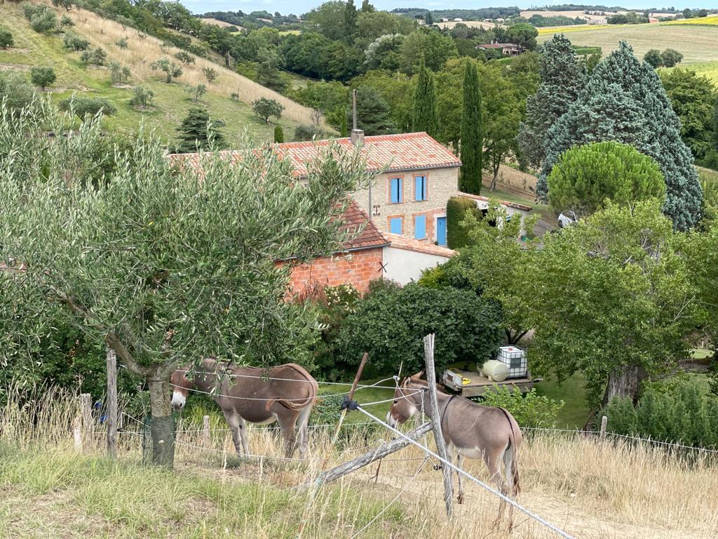 LE MATELOT, Lux - photo 99