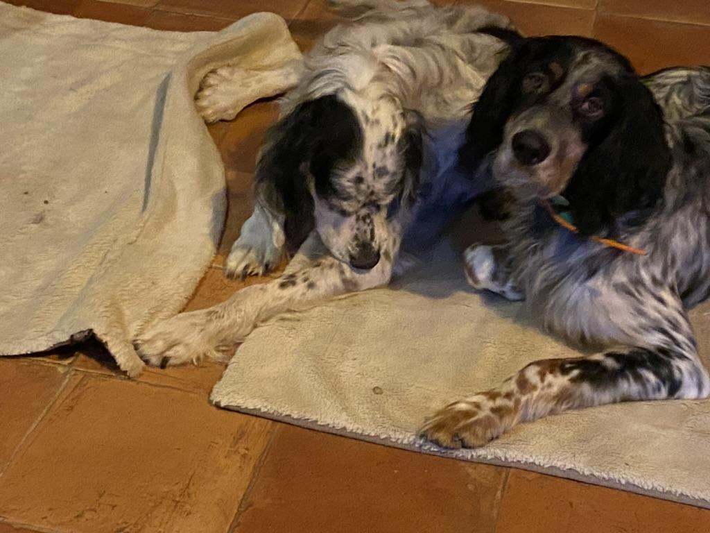 LE MATELOT, Lux - photo 81