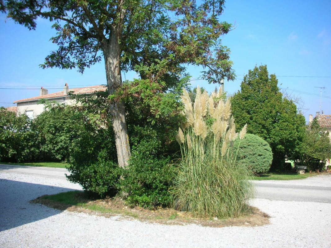 GITE LES DURANDS, Saint-Félix-Lauragais - photo 374