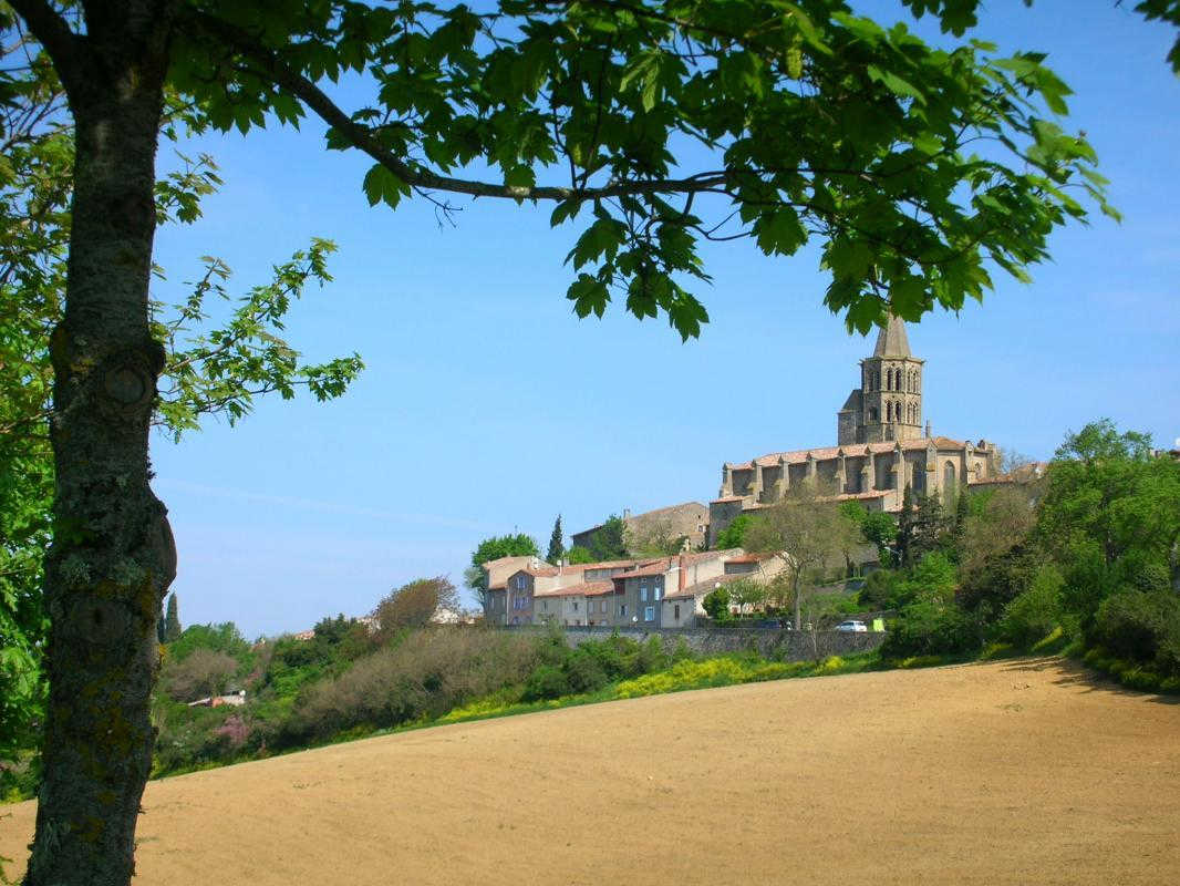 GITE LES DURANDS, Saint-Félix-Lauragais - photo 391