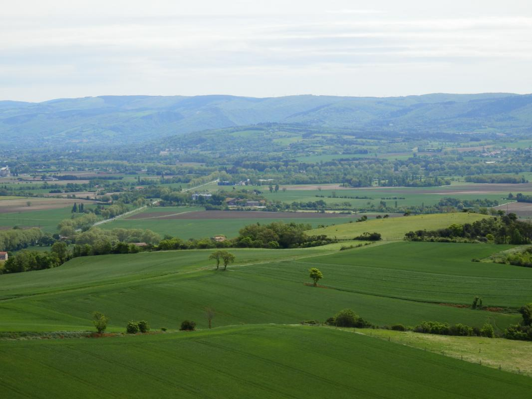 GITE LES DURANDS, Saint-Félix-Lauragais - photo 370