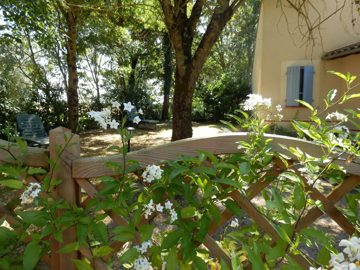 GITE LES DURANDS, Saint-Félix-Lauragais - photo 393