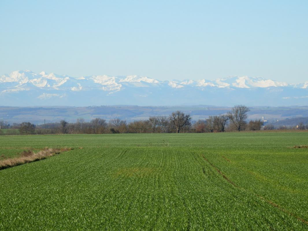 GITE LES DURANDS, Saint-Félix-Lauragais - photo 414