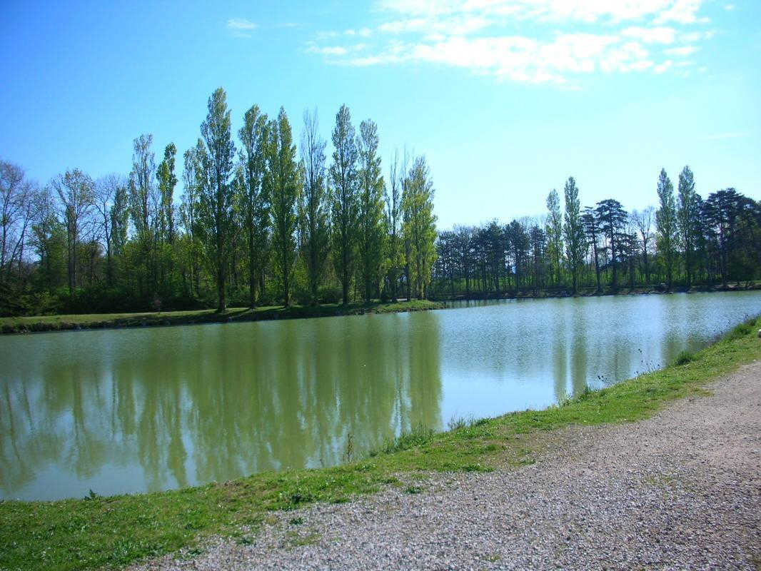 GITE LES DURANDS, Saint-Félix-Lauragais - photo 402