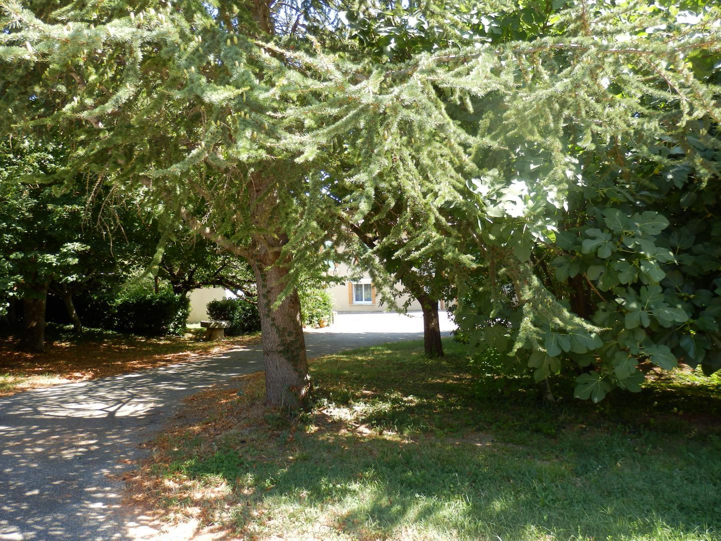GITE LES DURANDS, Saint-Félix-Lauragais - photo 377
