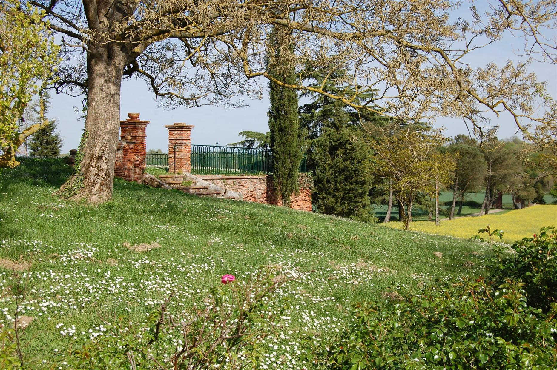 CHANTECLER - photo 4