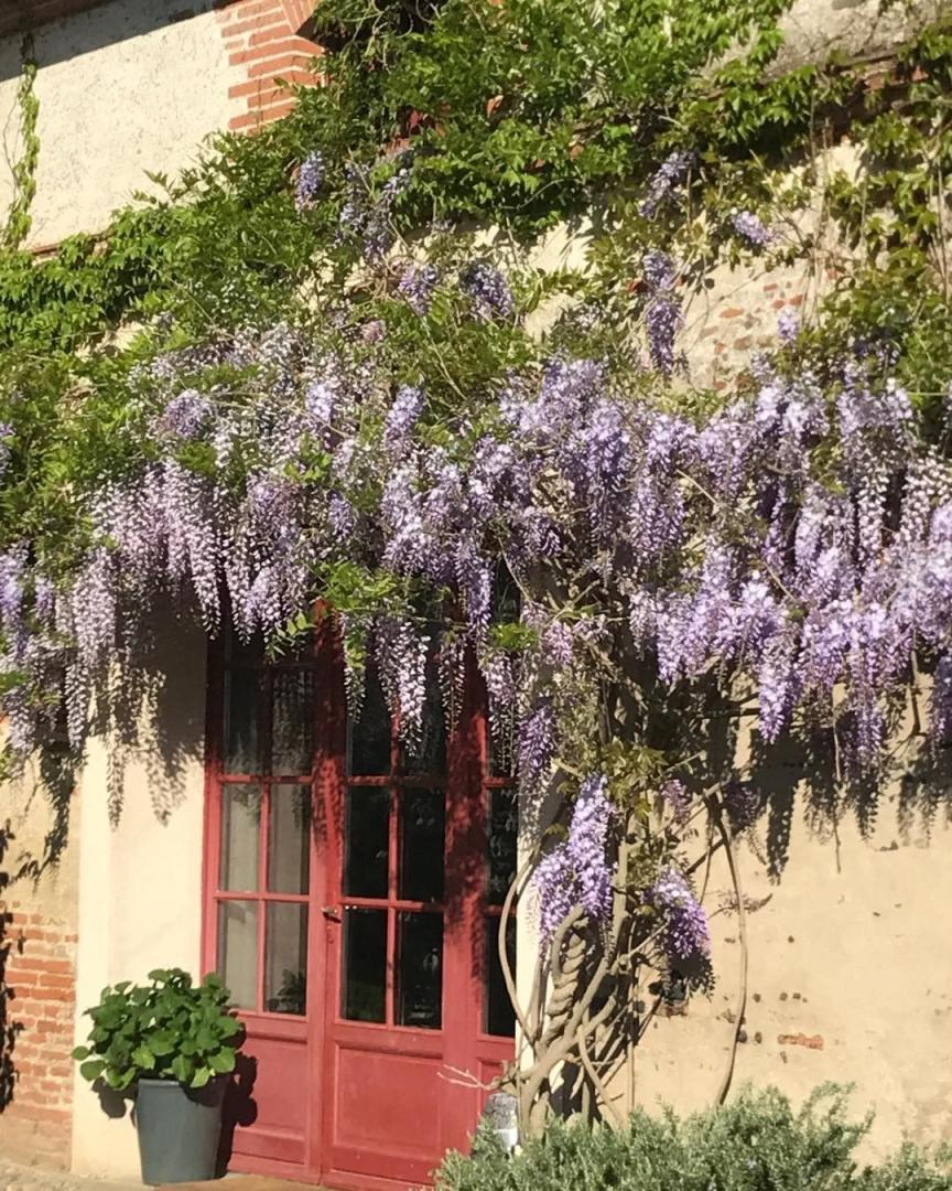 LES ECURIES DU CHÂTEAU, Auragne - photo 123