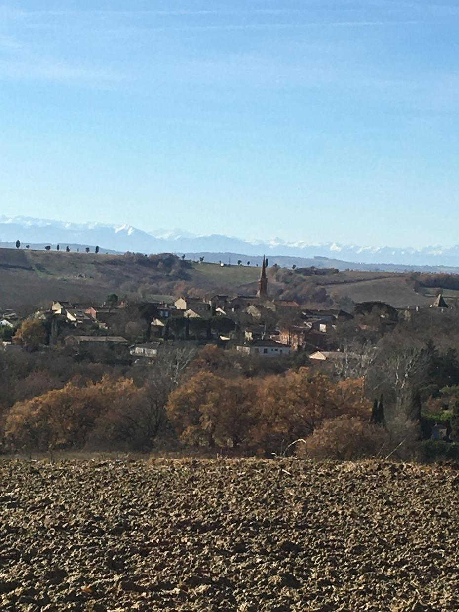 LES ECURIES DU CHÂTEAU, Auragne - photo 111