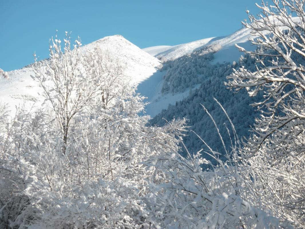 GÎTE LA GRANGE AVEC SPA - photo 5