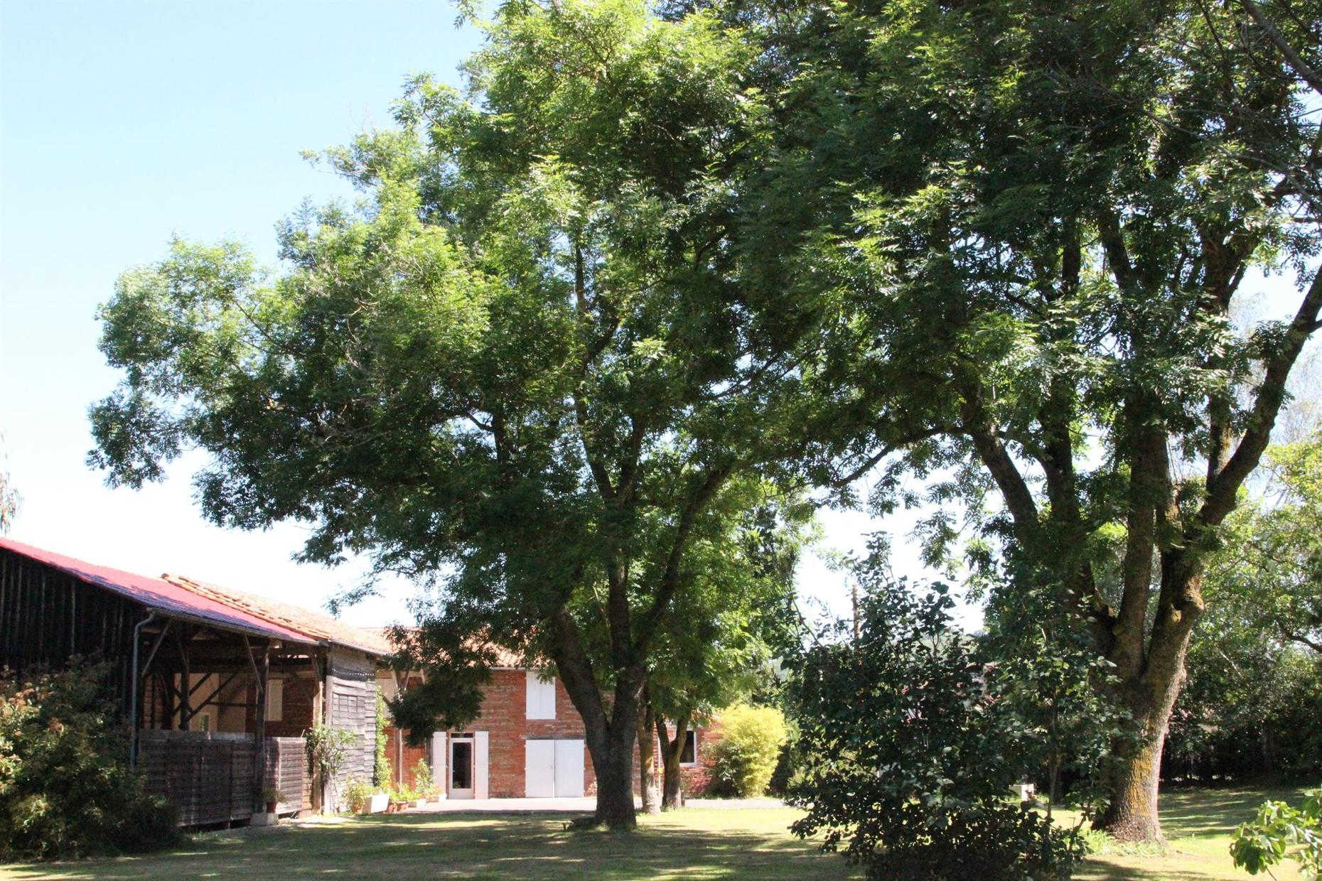 AQUI-NAUT, Montesquieu-Volvestre - photo 266