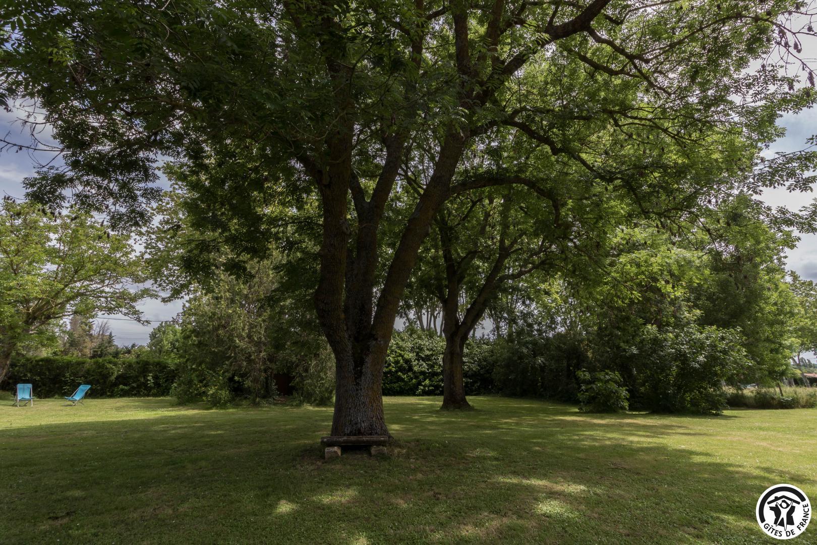 AQUI-NAUT, Montesquieu-Volvestre - photo 261