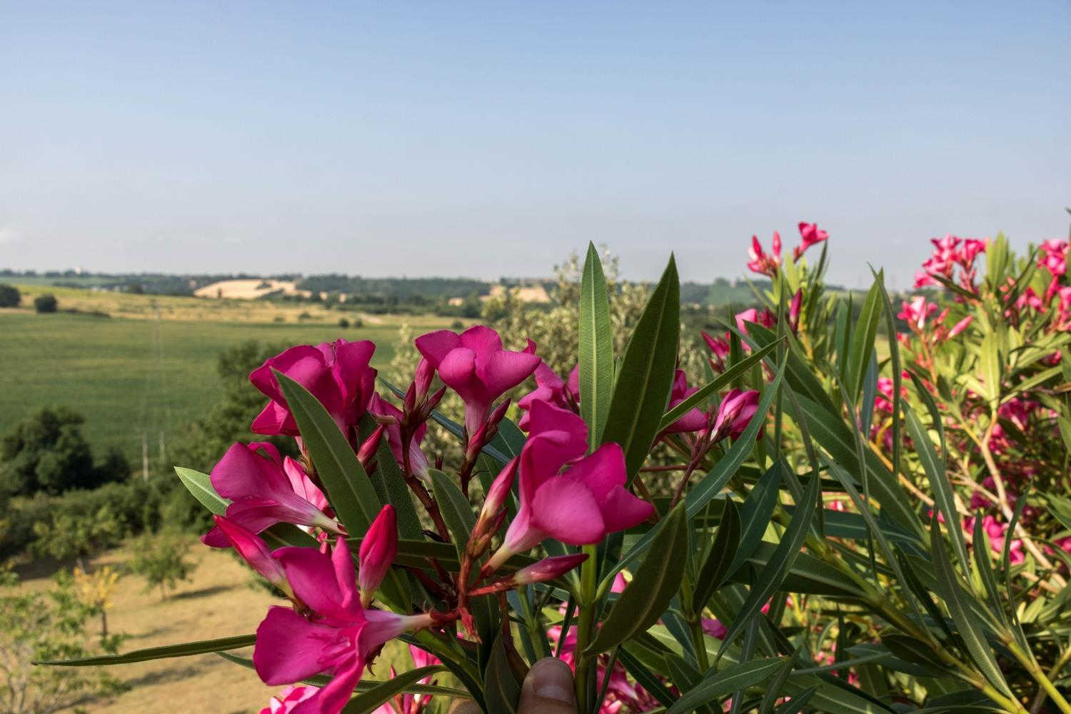 LA MARQUETTE - photo 4