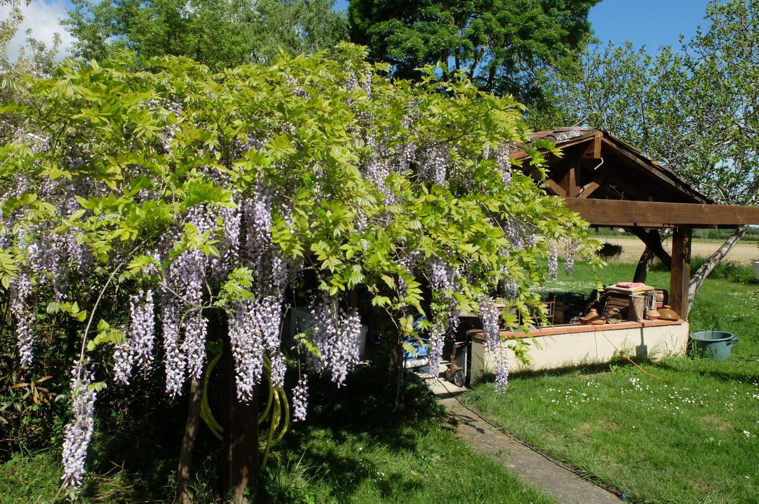 TERRE DE SABONNÈRES - photo 4