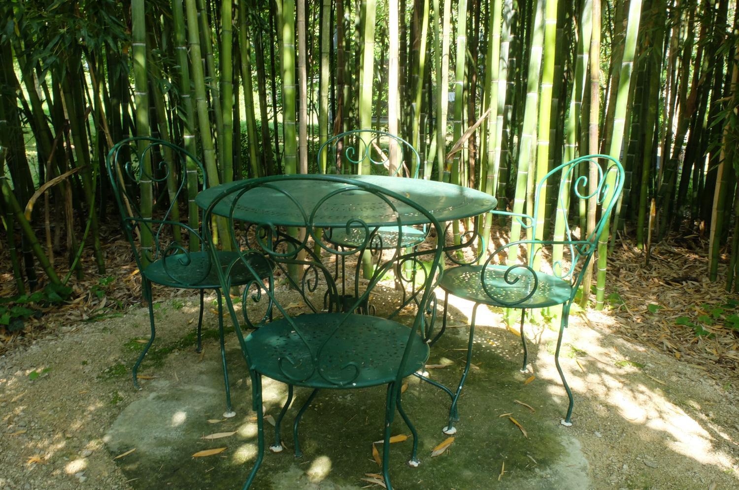 TERRE DE SABONNÈRES, Poucharramet - photo 171