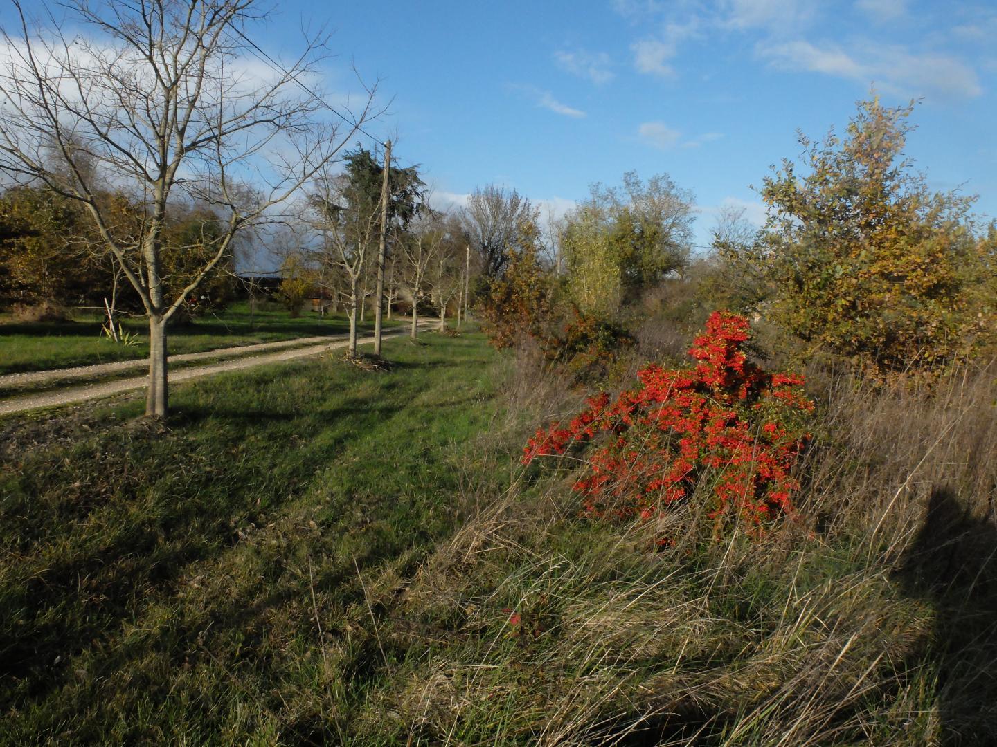 TERRE DE SABONNÈRES, Poucharramet - photo 161