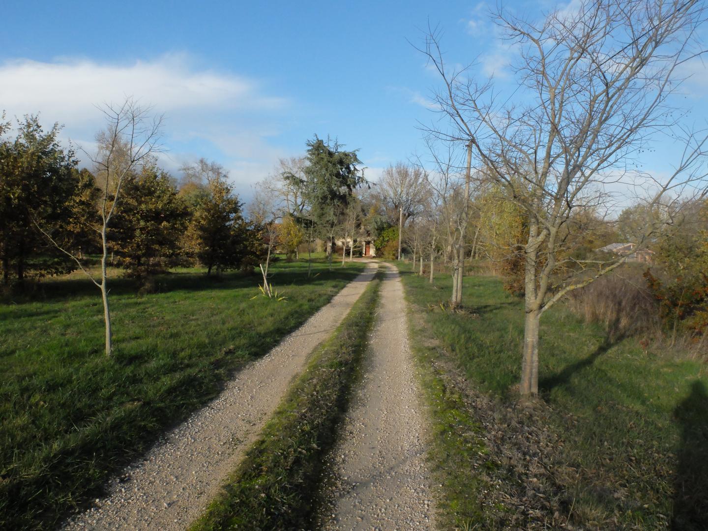 TERRE DE SABONNÈRES, Poucharramet - photo 148
