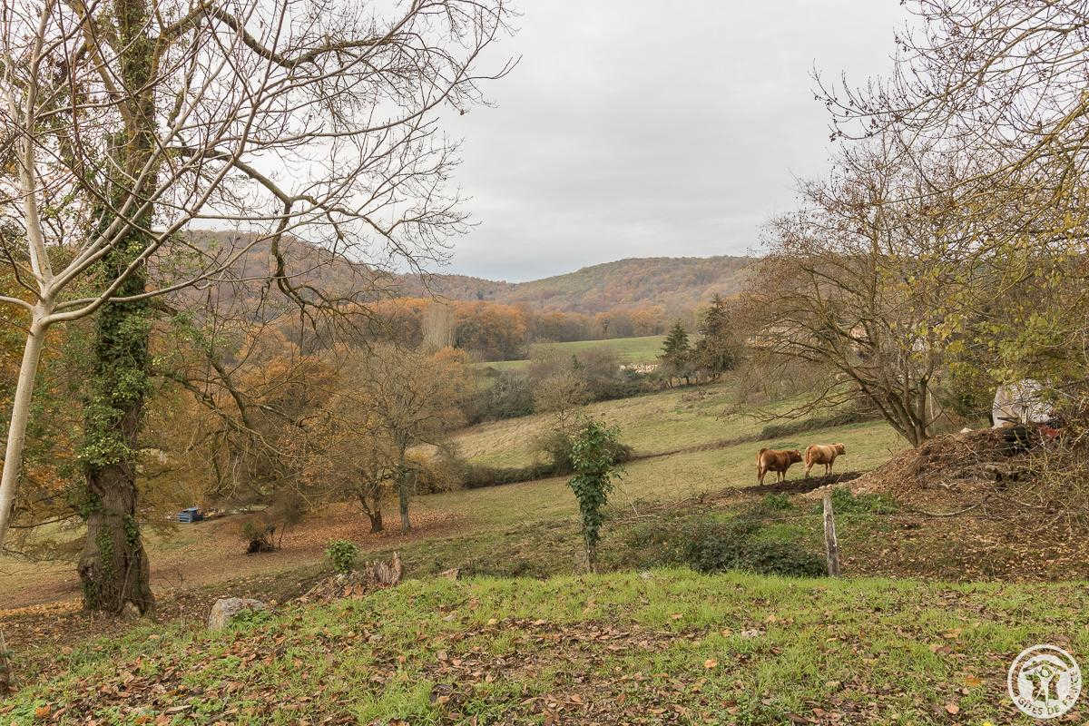 LA FERME DES HAUTINS, Rieucazé - photo 459