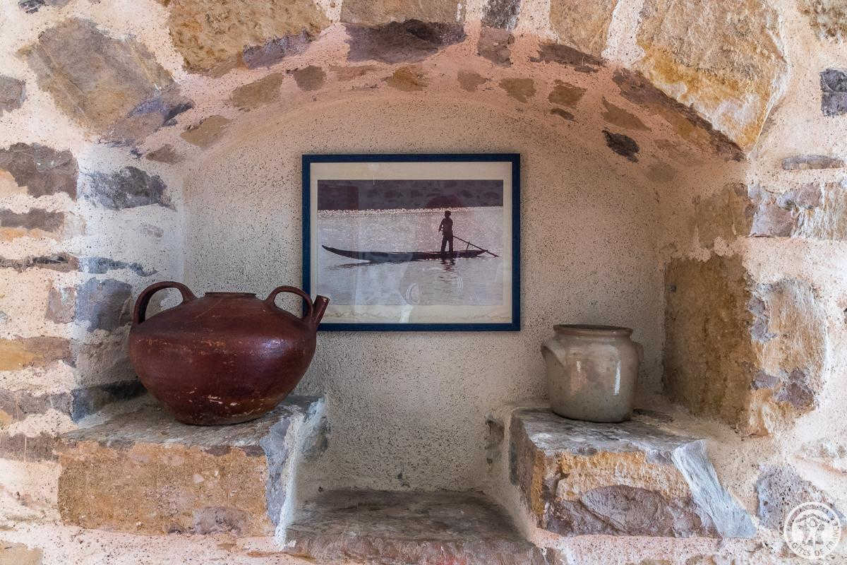 LA FERME DES HAUTINS, Rieucazé - photo 475