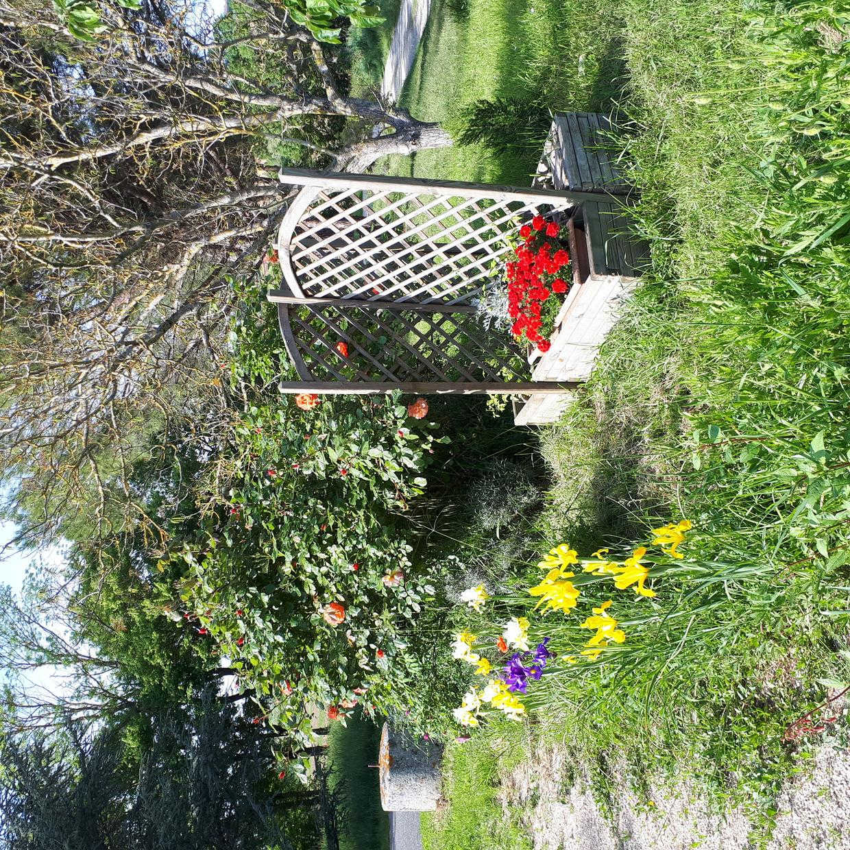 VIGNES, Saint-Léon - photo 107