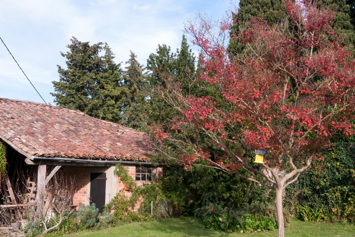 LES COTEAUX, Riolas - photo 138