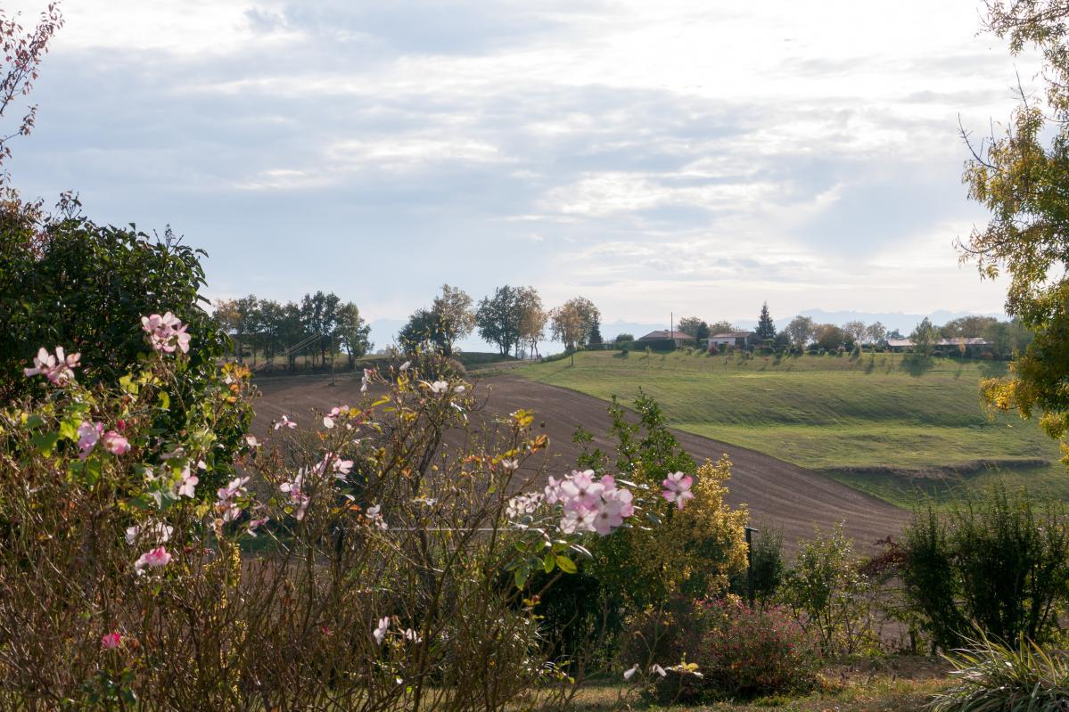 LES COTEAUX, Riolas - photo 132