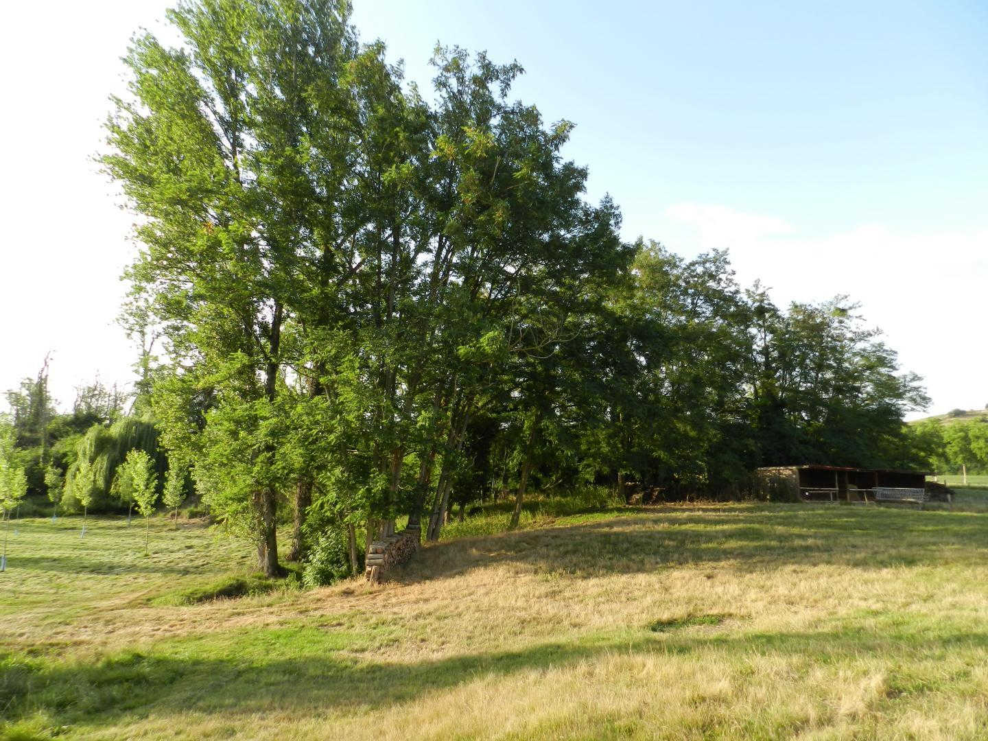 La Ferme De Montplaisir
