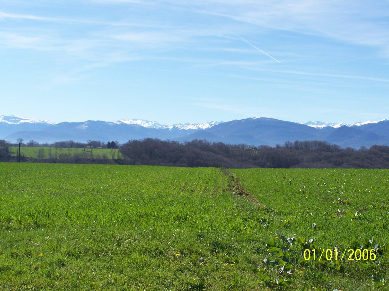 LE PEYRÉ — photo 3