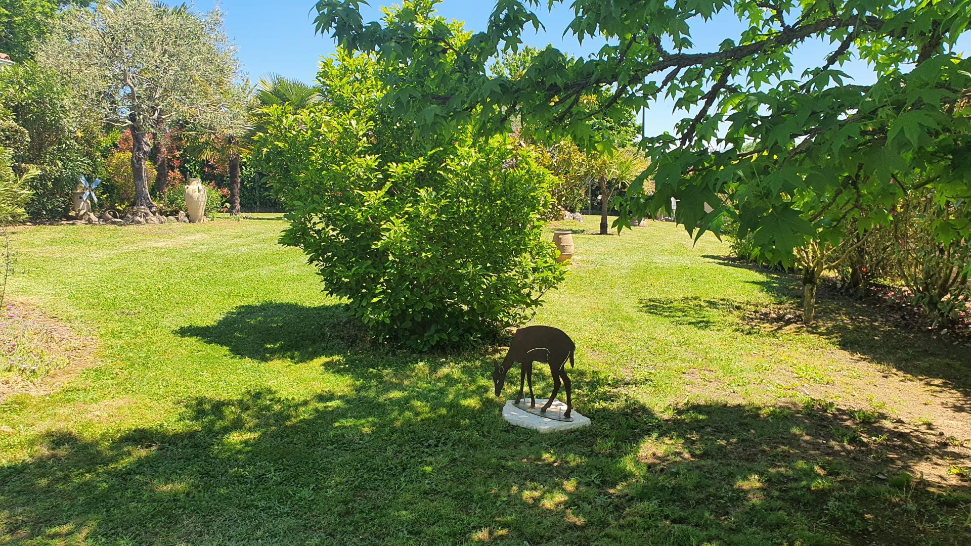 P'TIT BONHEUR, Villeneuve-de-Rivière - photo 206