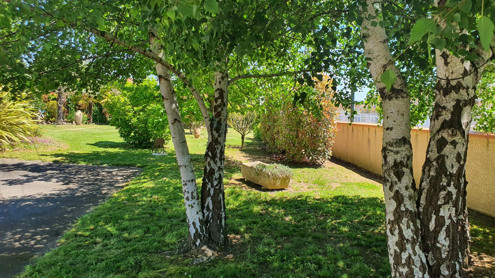 P'TIT BONHEUR, Villeneuve-de-Rivière - photo 224