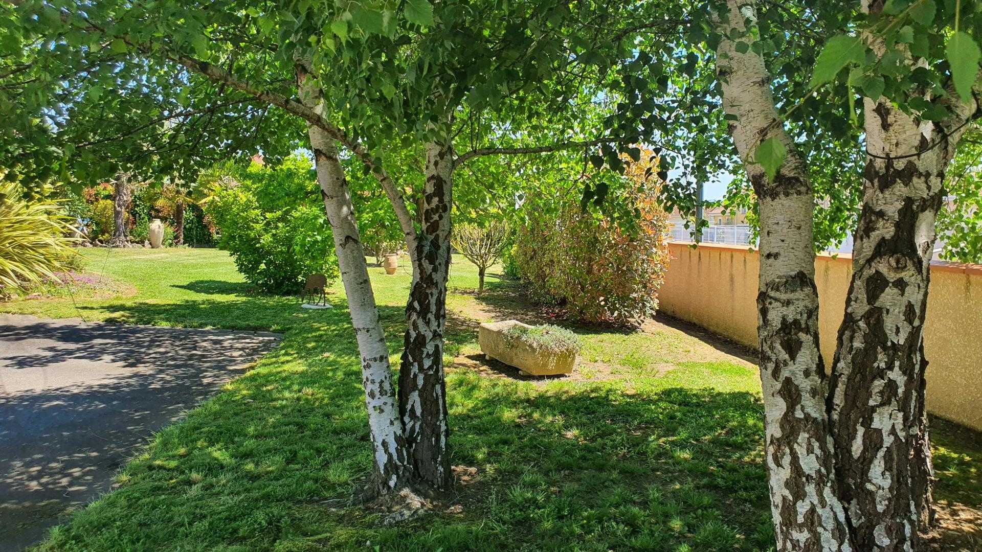 P'TIT BONHEUR, Villeneuve-de-Rivière - photo 361