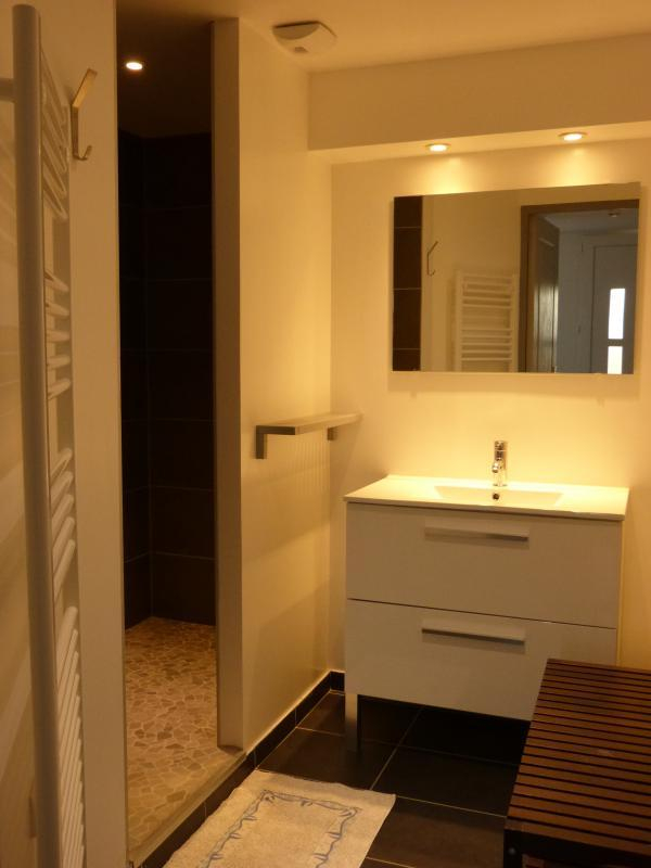 LES BAMBOUS, Plaisance-du-Touch - photo 231